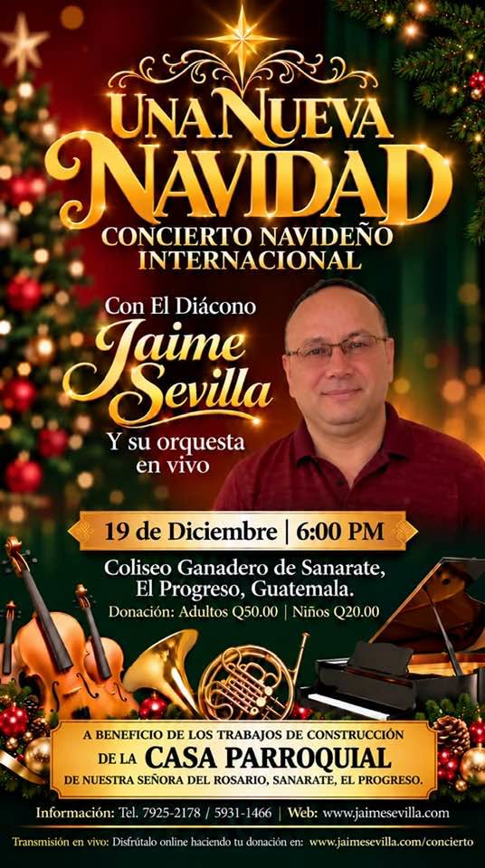 Afiche Oficial Concierto